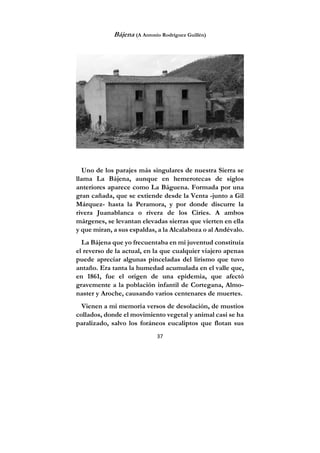 37
Bájena (A Antonio Rodríguez Guillén)
Uno de los parajes más singulares de nuestra Sierra se
llama La Bájena, aunque en hemerotecas de siglos
anteriores aparece como La Báguena. Formada por una
gran cañada, que se extiende desde la Venta -junto a Gil
Márquez- hasta la Peramora, y por donde discurre la
rivera Juanablanca o rivera de los Ciries. A ambos
márgenes, se levantan elevadas sierras que vierten en ella
y que miran, a sus espaldas, a la Alcalaboza o al Andévalo.
La Bájena que yo frecuentaba en mi juventud constituía
el reverso de la actual, en la que cualquier viajero apenas
puede apreciar algunas pinceladas del lirismo que tuvo
antaño. Era tanta la humedad acumulada en el valle que,
en 1861, fue el origen de una epidemia, que afectó
gravemente a la población infantil de Cortegana, Almo-
naster y Aroche, causando varios centenares de muertes.
Vienen a mi memoria versos de desolación, de mustios
collados, donde el movimiento vegetal y animal casi se ha
paralizado, salvo los foráneos eucaliptos que flotan sus
 