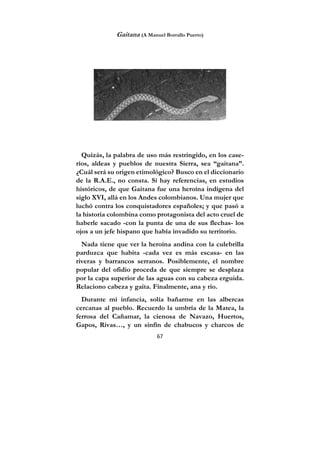 67
Gaitana (A Manuel Borrallo Puerto)
Quizás, la palabra de uso más restringido, en los case-
ríos, aldeas y pueblos de nuestra Sierra, sea “gaitana”.
¿Cuál será su origen etimológico? Busco en el diccionario
de la R.A.E., no consta. Sí hay referencias, en estudios
históricos, de que Gaitana fue una heroína indígena del
siglo XVI, allá en los Andes colombianos. Una mujer que
luchó contra los conquistadores españoles; y que pasó a
la historia colombina como protagonista del acto cruel de
haberle sacado -con la punta de una de sus flechas- los
ojos a un jefe hispano que había invadido su territorio.
Nada tiene que ver la heroína andina con la culebrilla
parduzca que habita -cada vez es más escasa- en las
riveras y barrancos serranos. Posiblemente, el nombre
popular del ofidio proceda de que siempre se desplaza
por la capa superior de las aguas con su cabeza erguida.
Relaciono cabeza y gaita. Finalmente, ana y río.
Durante mi infancia, solía bañarme en las albercas
cercanas al pueblo. Recuerdo la umbría de la Matea, la
ferrosa del Cañamar, la cienosa de Navazo, Huertos,
Gapos, Rivas…, y un sinfín de chabucos y charcos de
 