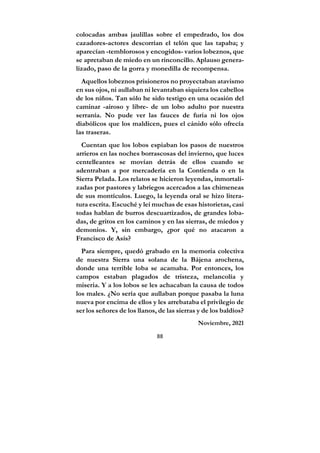 88
colocadas ambas jaulillas sobre el empedrado, los dos
cazadores-actores descorrían el telón que las tapaba; y
aparecían -temblorosos y encogidos- varios lobeznos, que
se apretaban de miedo en un rinconcillo. Aplauso genera-
lizado, paso de la gorra y monedilla de recompensa.
Aquellos lobeznos prisioneros no proyectaban atavismo
en sus ojos, ni aullaban ni levantaban siquiera los cabellos
de los niños. Tan sólo he sido testigo en una ocasión del
caminar -airoso y libre- de un lobo adulto por nuestra
serranía. No pude ver las fauces de furia ni los ojos
diabólicos que los maldicen, pues el cánido sólo ofrecía
las traseras.
Cuentan que los lobos espiaban los pasos de nuestros
arrieros en las noches borrascosas del invierno, que luces
centelleantes se movían detrás de ellos cuando se
adentraban a por mercadería en la Contienda o en la
Sierra Pelada. Los relatos se hicieron leyendas, inmortali-
zadas por pastores y labriegos acercados a las chimeneas
de sus montículos. Luego, la leyenda oral se hizo litera-
tura escrita. Escuché y leí muchas de esas historietas, casi
todas hablan de burros descuartizados, de grandes loba-
das, de gritos en los caminos y en las sierras, de miedos y
demonios. Y, sin embargo, ¿por qué no atacaron a
Francisco de Asís?
Para siempre, quedó grabado en la memoria colectiva
de nuestra Sierra una solana de la Bájena arochena,
donde una terrible loba se acamaba. Por entonces, los
campos estaban plagados de tristeza, melancolía y
miseria. Y a los lobos se les achacaban la causa de todos
los males. ¿No sería que aullaban porque pasaba la luna
nueva por encima de ellos y les arrebataba el privilegio de
ser los señores de los llanos, de las sierras y de los baldíos?
Noviembre, 2021
 