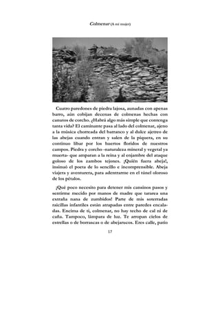 17
Colmenar (A mi mujer)
Cuatro paredones de piedra lajosa, aunadas con apenas
barro, aún cobijan decenas de colmenas hechas con
canutos de corcho. ¿Habrá algo más simple que contenga
tanta vida? El caminante pasa al lado del colmenar, ajeno
a la música chorreada del barranco y al dulce ajetreo de
las abejas cuando entran y salen de la piquera, en su
continuo libar por los huertos floridos de nuestros
campos. Piedra y corcho -naturaleza mineral y vegetal ya
muerta- que amparan a la reina y al enjambre del ataque
goloso de los zambos tejones. ¡Quién fuera abeja!,
insinuó el poeta de lo sencillo e incomprensible. Abeja
viajera y aventurera, para adentrarme en el túnel oloroso
de los pétalos.
¡Qué poco necesito para detener mis cansinos pasos y
sentirme mecido por manos de madre que tararea una
extraña nana de zumbidos! Parte de mis soterradas
raicillas infantiles están atrapadas entre paredes encala-
das. Encima de ti, colmenar, no hay techo de cal ni de
caña. Tampoco, lámpara de luz. Te arropan cielos de
estrellas o de borrascas o de abejarucos. Eres calle, patio
 