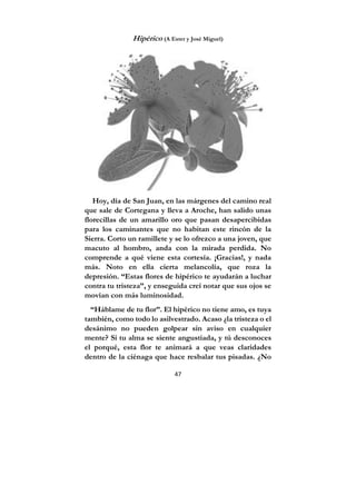47
Hipérico (A Ester y José Miguel)
Hoy, día de San Juan, en las márgenes del camino real
que sale de Cortegana y lleva a Aroche, han salido unas
florecillas de un amarillo oro que pasan desapercibidas
para los caminantes que no habitan este rincón de la
Sierra. Corto un ramillete y se lo ofrezco a una joven, que
macuto al hombro, anda con la mirada perdida. No
comprende a qué viene esta cortesía. ¡Gracias!, y nada
más. Noto en ella cierta melancolía, que roza la
depresión. “Estas flores de hipérico te ayudarán a luchar
contra tu tristeza”, y enseguida creí notar que sus ojos se
movían con más luminosidad.
“Háblame de tu flor”. El hipérico no tiene amo, es tuya
también, como todo lo asilvestrado. Acaso ¿la tristeza o el
desánimo no pueden golpear sin aviso en cualquier
mente? Si tu alma se siente angustiada, y tú desconoces
el porqué, esta flor te animará a que veas claridades
dentro de la ciénaga que hace resbalar tus pisadas. ¿No
 