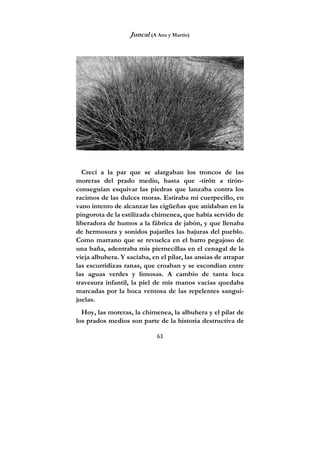 63
Juncal (A Ana y Martín)
Crecí a la par que se alargaban los troncos de las
moreras del prado medio, hasta que -tirón a tirón-
conseguían esquivar las piedras que lanzaba contra los
racimos de las dulces moras. Estiraba mi cuerpecillo, en
vano intento de alcanzar las cigüeñas que anidaban en la
pingorota de la estilizada chimenea, que había servido de
liberadora de humos a la fábrica de jabón, y que llenaba
de hermosura y sonidos pajariles las bajuras del pueblo.
Como marrano que se revuelca en el barro pegajoso de
una baña, adentraba mis piernecillas en el cenagal de la
vieja albuhera. Y saciaba, en el pilar, las ansias de atrapar
las escurridizas ranas, que croaban y se escondían entre
las aguas verdes y limosas. A cambio de tanta loca
travesura infantil, la piel de mis manos vacías quedaba
marcadas por la boca ventosa de las repelentes sangui-
juelas.
Hoy, las moreras, la chimenea, la albuhera y el pilar de
los prados medios son parte de la historia destructiva de
 