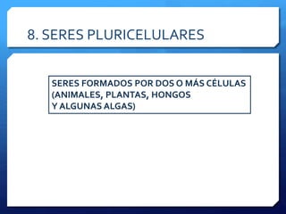 8. SERES PLURICELULARES
SERES FORMADOS POR DOS O MÁS CÉLULAS
(ANIMALES, PLANTAS, HONGOS
Y ALGUNAS ALGAS)
 