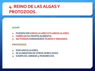 4. REINO DE LAS ALGASY
PROTOZOOS.
ALGAS
1. PUEDEN SER UNICELULARES O PLURICELULARES.
2. FABRICAN SU PROPIO ALIMENTO.
3. NO POSEENVERDADEROSTEJIDOSY ÓRGANOS.
PROTOZOOS.
1. SON UNICELULARES.
2. SE ALIMENTAN DE OTROS SERESVIVOS.
3. EJEMPLOS: AMEBAS y PARAMECIOS.
 