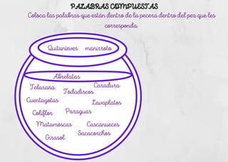 Coloca las palabras que están dentro de la pecera dentro del pez que les
corresponda.
Quitanieves manirroto
Telaraña Caradura
Cuentagotas
Coliflor
Abrelatas
Paraguas
Todadiscos
Lavaplatos
Cascanueces
Matamoscas
Sacacorchos
Girasol
PALABRAS COMPUESTAS
PALABRAS COMPUESTAS
 