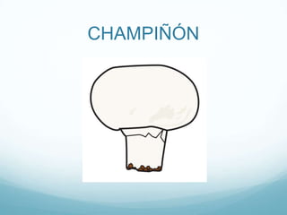 CHAMPIÑÓN
 