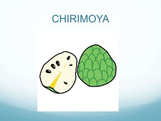 CHIRIMOYA
 
