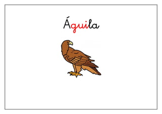 Águila