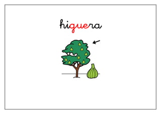 higuera