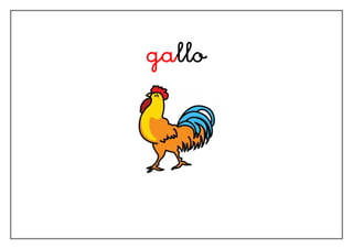 gallo