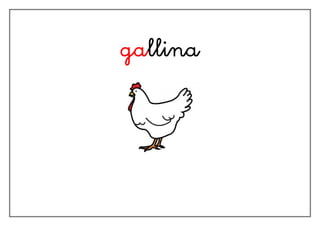 gallina