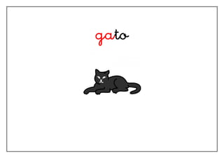 gato