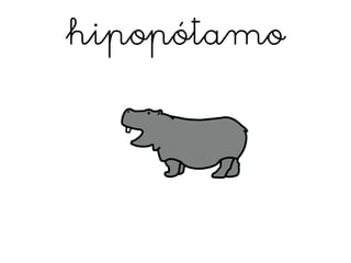 hipopótamo
 