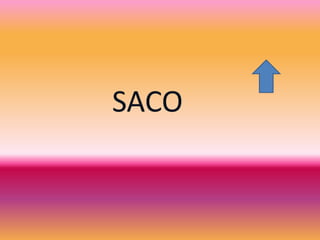SACO
 