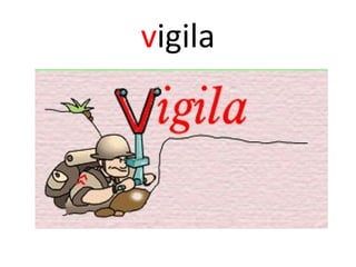 vigila
 