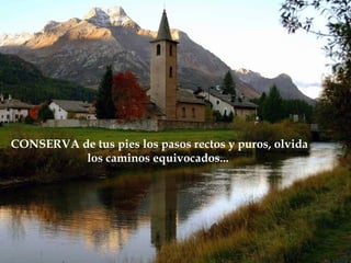 CONSERVA de tus pies los pasos rectos y puros, olvida
          los caminos equivocados...
 