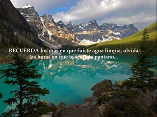 RECUERDA los días en que fuiste agua limpia, olvida
      las horas en que te sentiste pantano...
 