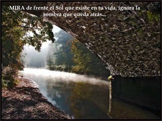 MIRA de frente el Sol que existe en tu vida, ignora la
            sombra que queda atrás...
 