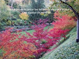 GUARDA de tu mirar los brillos de alegría y nunca
         las nieblas de tristezas...
 