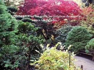 CONSERVA en tus oídos las palabras de amor y
          nunca las de odio...
 