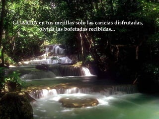 GUARDA en tus mejillas solo las caricias disfrutadas,
       olvida las bofetadas recibidas...
 