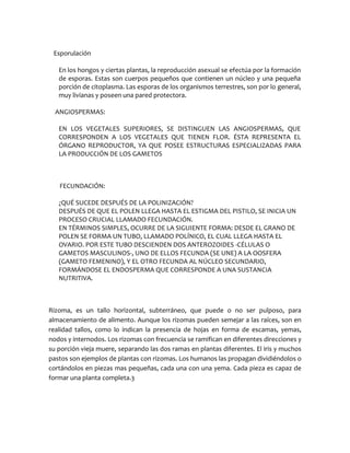 Esporulación<br />En los hongos y ciertas plantas, la reproducción asexual se efectúa por la formación de esporas. Estas son cuerpos pequeños que contienen un núcleo y una pequeña porción de citoplasma. Las esporas de los organismos terrestres, son por lo general, muy livianas y poseen una pared protectora.<br /> ANGIOSPERMAS:<br />EN LOS VEGETALES SUPERIORES, SE DISTINGUEN LAS ANGIOSPERMAS, QUE CORRESPONDEN A LOS VEGETALES QUE TIENEN FLOR. ÉSTA REPRESENTA EL ÓRGANO REPRODUCTOR, YA QUE POSEE ESTRUCTURAS ESPECIALIZADAS PARA LA PRODUCCIÓN DE LOS GAMETOS<br />    FECUNDACIÓN:<br />¿QUÉ SUCEDE DESPUÉS DE LA POLINIZACIÓN?<br />DESPUÉS DE QUE EL POLEN LLEGA HASTA EL ESTIGMA DEL PISTILO, SE INICIA UN PROCESO CRUCIAL LLAMADO FECUNDACIÓN.<br />EN TÉRMINOS SIMPLES, OCURRE DE LA SIGUIENTE FORMA: DESDE EL GRANO DE POLEN SE FORMA UN TUBO, LLAMADO POLÍNICO, EL CUAL LLEGA HASTA EL OVARIO. POR ESTE TUBO DESCIENDEN DOS ANTEROZOIDES -CÉLULAS O GAMETOS MASCULINOS-, UNO DE ELLOS FECUNDA (SE UNE) A LA OOSFERA (GAMETO FEMENINO), Y EL OTRO FECUNDA AL NÚCLEO SECUNDARIO, FORMÁNDOSE EL ENDOSPERMA QUE CORRESPONDE A UNA SUSTANCIA NUTRITIVA.<br />Rizoma, es un tallo horizontal, subterráneo, que puede o no ser pulposo, para almacenamiento de alimento. Aunque los rizomas pueden semejar a las raíces, son en realidad tallos, como lo indican la presencia de hojas en forma de escamas, yemas, nodos y internodos. Los rizomas con frecuencia se ramifican en diferentes direcciones y su porción vieja muere, separando las dos ramas en plantas diferentes. El iris y muchos pastos son ejemplos de plantas con rizomas. Los humanos las propagan dividiéndolos o cortándolos en piezas mas pequeñas, cada una con una yema. Cada pieza es capaz de formar una planta completa.3<br />Tubérculo, es un tallo subterráneo el cual esta muy aumentado de tamaño para el almacenamiento de alimento. La papa blanca y el caladium son ejemplos de plantas que producen tubérculos. Los “ojos” de la papa blanca son en realidad yemas laterales, la cual confirma que los tubérculos son tallos subterráneos y no raíces. Los seres humanos propagan los tubérculos contándolo en pedazos cada uno con una yema lateral. Cuando se planta un tubérculo, cada uno da lugar a una planta completa.3<br />Bulbo, es una tallo subterráneo acortado, al cual se adhieren hojas pulposas que almacenan alimento. Los bulbos son globosos o redondos, cubiertos de escamas con apariencia de papel. Estas escamas forman pequeños bulbos que inicialmente están unidos al bulbo madre. Los humanos separan estos bulbos para aumentar el numero de plantas, pero este proceso también se lleva a cabo en la naturaleza. Las raíces contráctiles de algunos bulbos se contraen y eventualmente separan al bulbo hijo del bulbo madre. Lirios, tulipanes, cebollas y narcisos forman bulbos.3<br />Cormo, es una tallo subterráneo que semeja superficialmente al bulbo. En el, el órgano de almacenamiento es el tallo engrosado y no las hojas, como en el bulbo. Todo el cormo esta formado por tejido de tallo, cubierto por escamas de apariencia de papel, que son hojas modificadas, y se unen a este en nodos. Con frecuencia se observan yemas laterales. Entre las plantas que producen cormos se encuentran el azafrán, la gladiola y el ciclamen.3<br />Estolón. Es un tallo que corre sobre la superficie del suelo. De sus yemas pueden originarse, además de raíces adventicias, nuevos tallos con hojas y yemas, los que, al morir el estolón, pasan a constituir plantas independientes. Como por ejemplo la frutilla.<br />Dicotiledóneas:<br />Son una clase de plantas Angiospermas, cuya semilla está provista de dos cotiledones  situados a ambos lados del embrión, y excepcionalmente de uno , por atrofia del segundo.<br /> <br /> Monocotiledóneas:<br />Son plantas angiospermas, es decir con flor completa y visible, que poseen una sola hoja  embrionaria o cotiledón en sus semillas.<br />