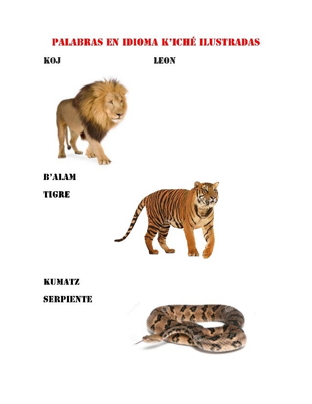 Palabras En Idioma K Iche Ilustradas
