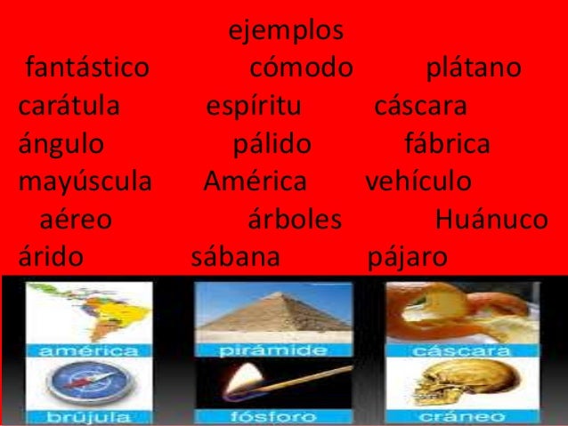 4 Fotos 1 Palabra Araña Aguila