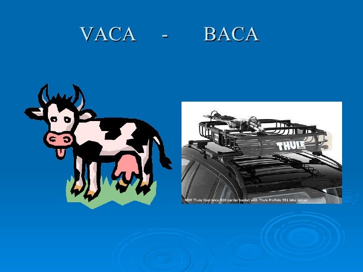 Palabras homófonas