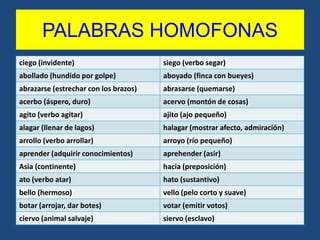 PALABRAS HOMOFONAS
ciego (invidente)                      siego (verbo segar)
abollado (hundido por golpe)           aboyado (finca con bueyes)
abrazarse (estrechar con los brazos)   abrasarse (quemarse)
acerbo (áspero, duro)                  acervo (montón de cosas)
agito (verbo agitar)                   ajito (ajo pequeño)
alagar (llenar de lagos)               halagar (mostrar afecto, admiración)
arrollo (verbo arrollar)               arroyo (río pequeño)
aprender (adquirir conocimientos)      aprehender (asir)
Asia (continente)                      hacia (preposición)
ato (verbo atar)                       hato (sustantivo)
bello (hermoso)                        vello (pelo corto y suave)
botar (arrojar, dar botes)             votar (emitir votos)
ciervo (animal salvaje)                siervo (esclavo)
 