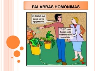 PALABRAS HOMÓNIMAS  