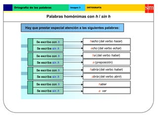 Ortografía de las palabras Imagen 3 ORTOGRAFÍA 
Palabras homónimas con h / sin h 
Hay que prestar especial atención a las ...