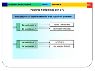 Ortografía de las palabras Imagen 4 ORTOGRAFÍA 
Palabras homónimas con g / j 
Hay que prestar especial atención a las sigu...