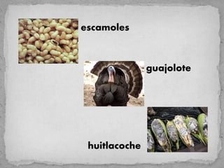 escamoles



               guajolote




 huitlacoche
 