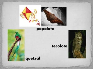 papalote



           tecolote


quetzal
 