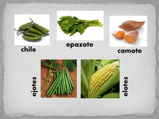 epazote
chile                 camote




                       elotes
   ejotes
 