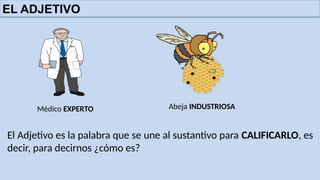 EL ADJETIVO
Médico EXPERTO Abeja INDUSTRIOSA
El Adjetivo es la palabra que se une al sustantivo para CALIFICARLO, es
decir, para decirnos ¿cómo es?
 