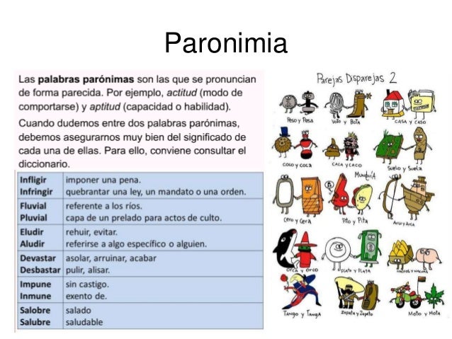 librero familia de palabras palabras por su significado librero familia de palabras palabras por su significado