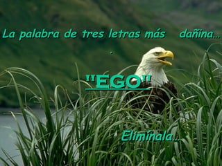 La palabra de tres letras más dañina…. "EGO" Elimínala…