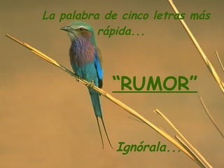 La palabra de cinco letras más rápida... “ RUMOR” Ignórala...