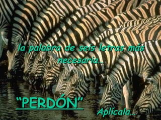 la palabra de seis letras más necesaria… “ PERDÓN” Aplícala…