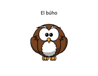 El búho
