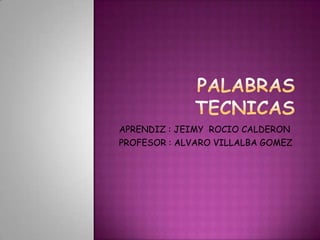 PALABRAS TECNICAS APRENDIZ : JEIMY  ROCIO CALDERON   PROFESOR : ALVARO VILLALBA GOMEZ 