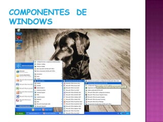 COMPONENTES  DE  WINDOWS<br />