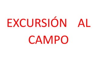 EXCURSIÓN ALCAMPO