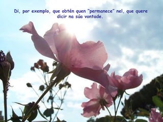 Di, por exemplo, que obtén quen “permanece” nel, que quere dicir na súa vontade.   