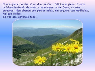 El non quere darche só un don, senón a felicidade plena. E esta acádase tratando de vivir os mandamentos de Deus, as súas palabras. Non abonda con pensar nelas, nin sequera con meditalas, hai que vivilas.  Se fas así, obteralo todo.   