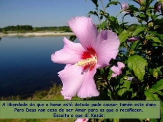 A liberdade da que o home está dotado pode causar tamén este dano.  Pero Deus non cesa de ser Amor para os que o recoñecen.  Escoita o que di Xesús:   