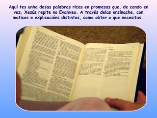 Aquí tes unha desas palabras ricas en promesas que, de cando en vez, Xesús repite no Evanxeo. A través delas ensínache, con matices e explicacións distintas, como obter o que necesitas.   