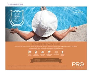 SALES FLYER 11”x8.5
 